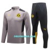 BVB Borussia Dortmund Komplet Sweatshirts Četvrt-Zip 22/23 Svijetlo siva