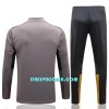 BVB Borussia Dortmund Komplet Sweatshirts Četvrt-Zip 22/23 Svijetlo siva