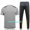 BVB Borussia Dortmund Trening dres Komplet 22/23 Svijetlo siva