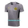 BVB Borussia Dortmund Trening dres Komplet 22/23 Svijetlo siva