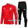 Dječji - FC Bayern München Komplet Sweatshirts Četvrt-Zip 22/23 Crvena