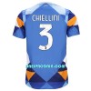 Nogometni Dres Juventus Chiellini 3 Četvrta 22/23