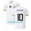 Nogometni Dres Gana Andre Ayew 10 Domaći SP 2022