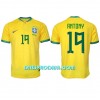 Nogometni Dres Brazil Antony 19 Domaći SP 2022