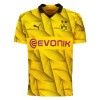 Nogometni Dres Borussia Dortmund Cup 23/24