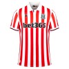 Nogometni Dres Stoke City Domaći 23/24