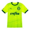 Nogometni Dres Palmeiras Treći 23/24