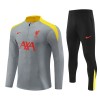 Dječji - Liverpool Sweatshirt za Trening Četvrt-Zip 24/25 Siva