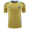 Nogometni Dres Argentina Pre-Match 2024 Žuta