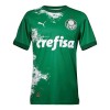 Nogometni Dres Palmeiras 2024 Zelena Specifična