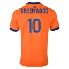 Nogometni Dres Olympique de Marseille Greenwood 10 Treći 24/25