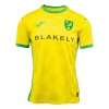 Nogometni Dres Norwich City Domaći 24/25